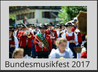 Bundesmusikfest 2017